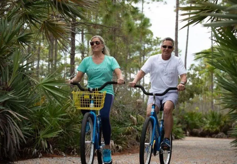 Heron Walk - Sandestin